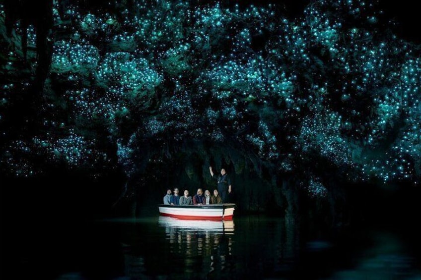 Waitomo Glowworm Caves, New Zealand