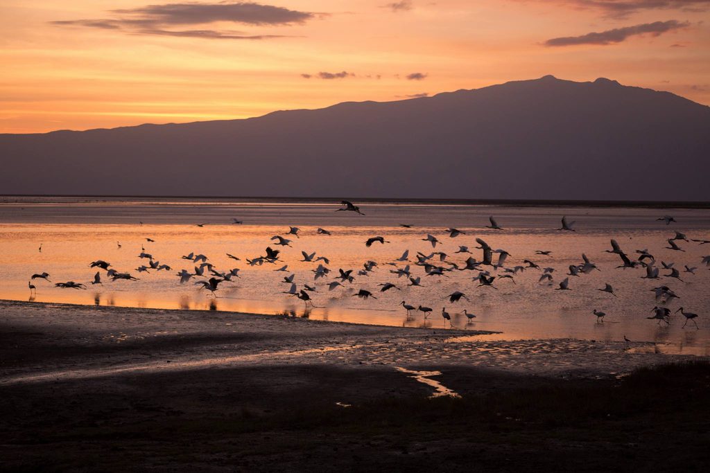 Lake Natron, Tanzania