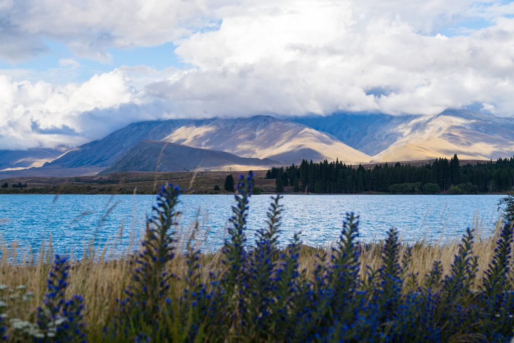 Lake Tekapo, New Zealand