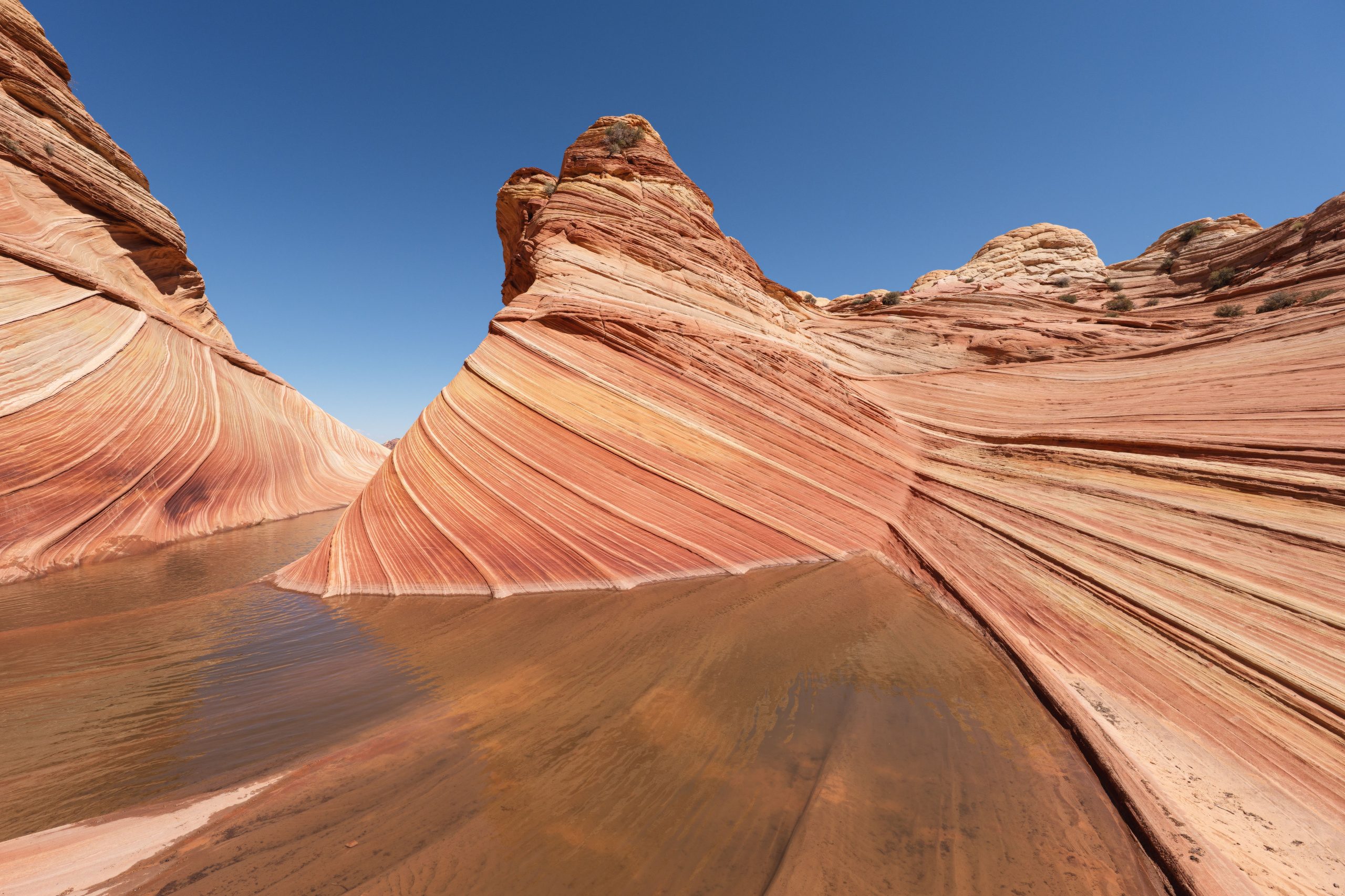 The Wave, Arizona, USA