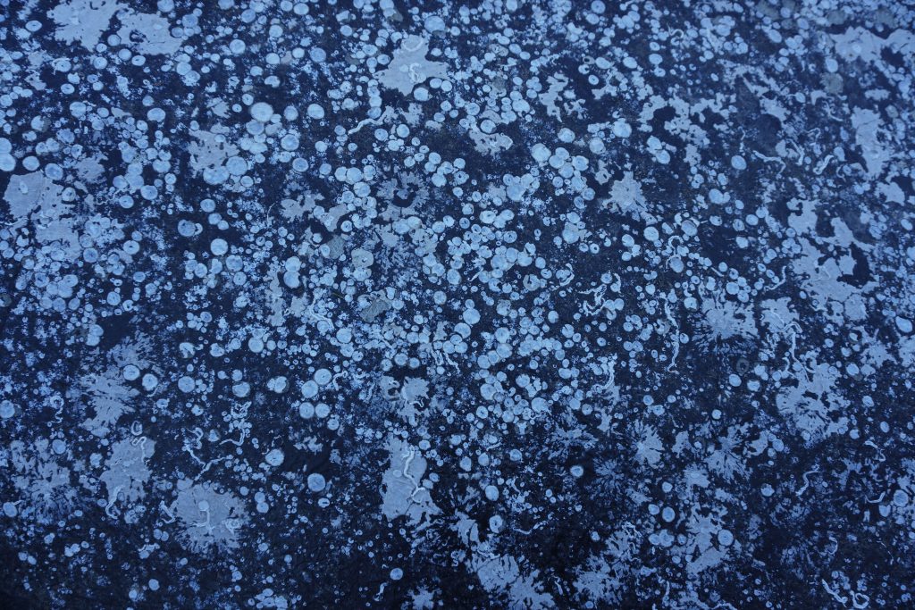 15 Photos So Beautiful You’ll Forget to Scroll Bubbles In Ice