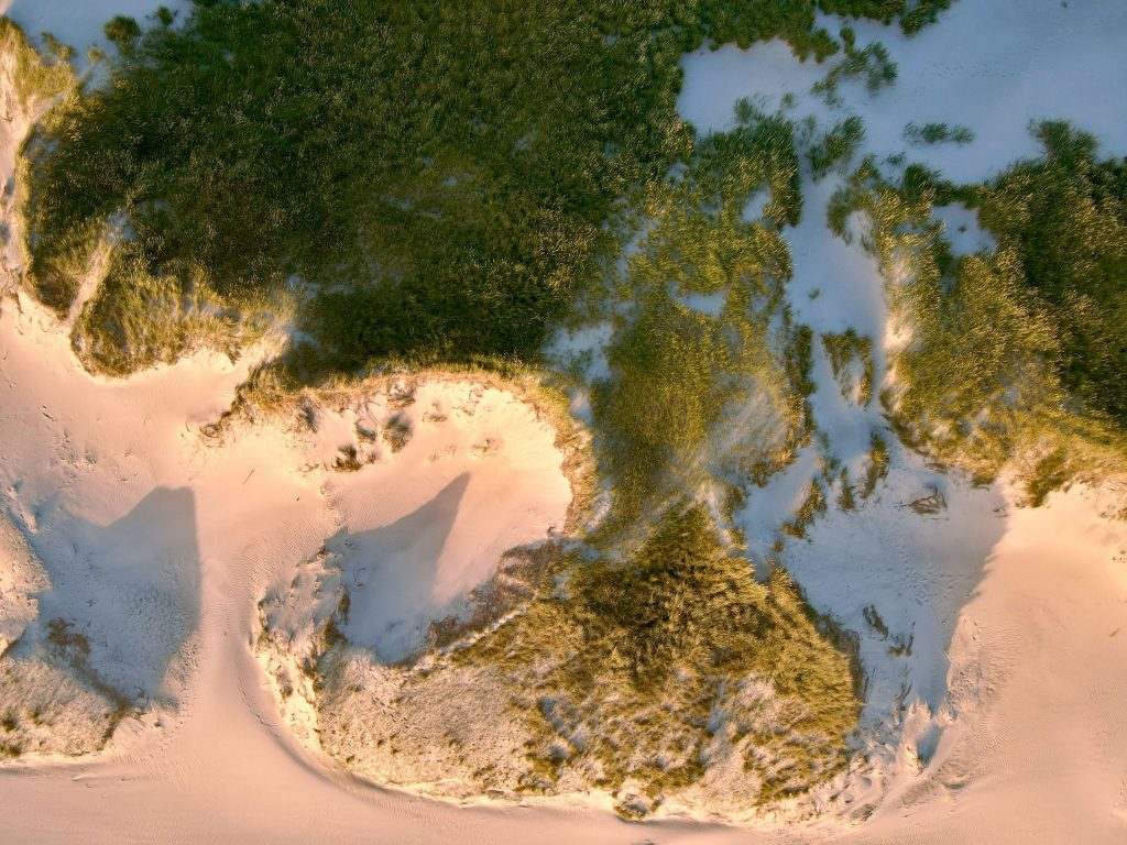 15 Photos So Beautiful You’ll Forget to Scroll Sand Dunes