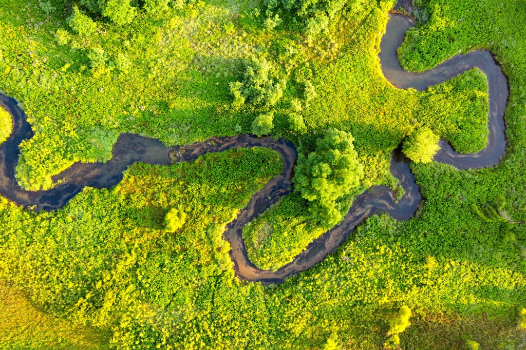 15 Photos So Beautiful You’ll Forget to Scroll Winding River